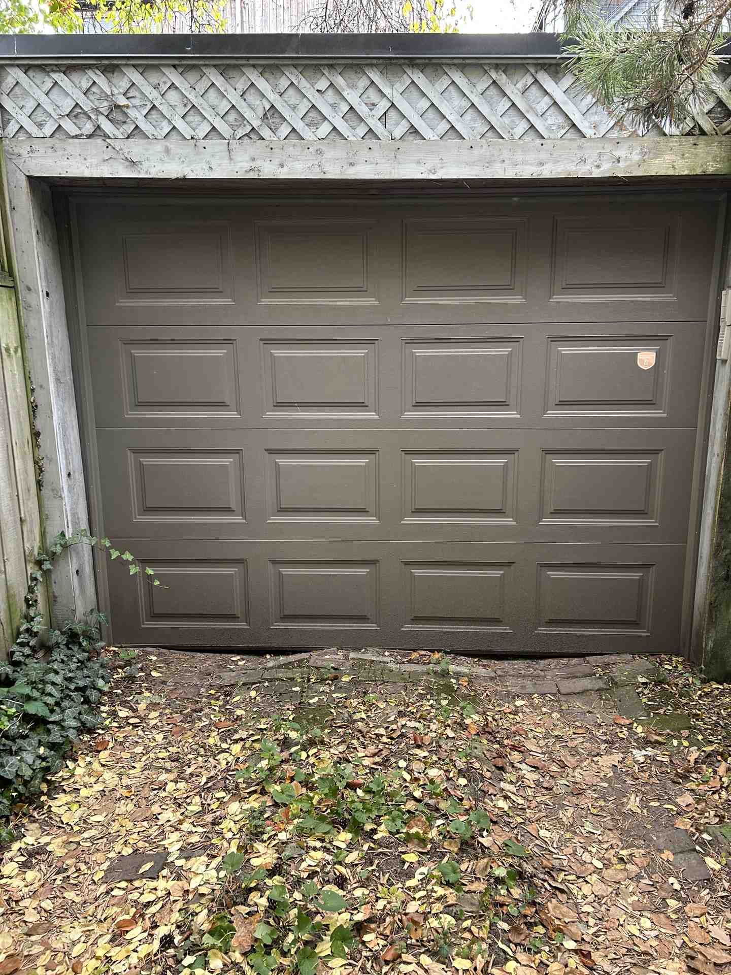 Thumbnail of the image
