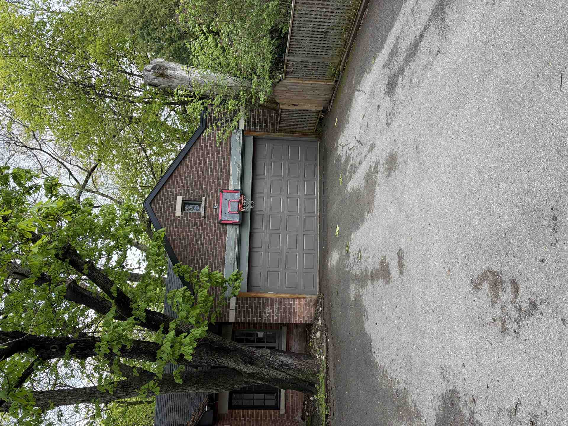 Thumbnail of the image
