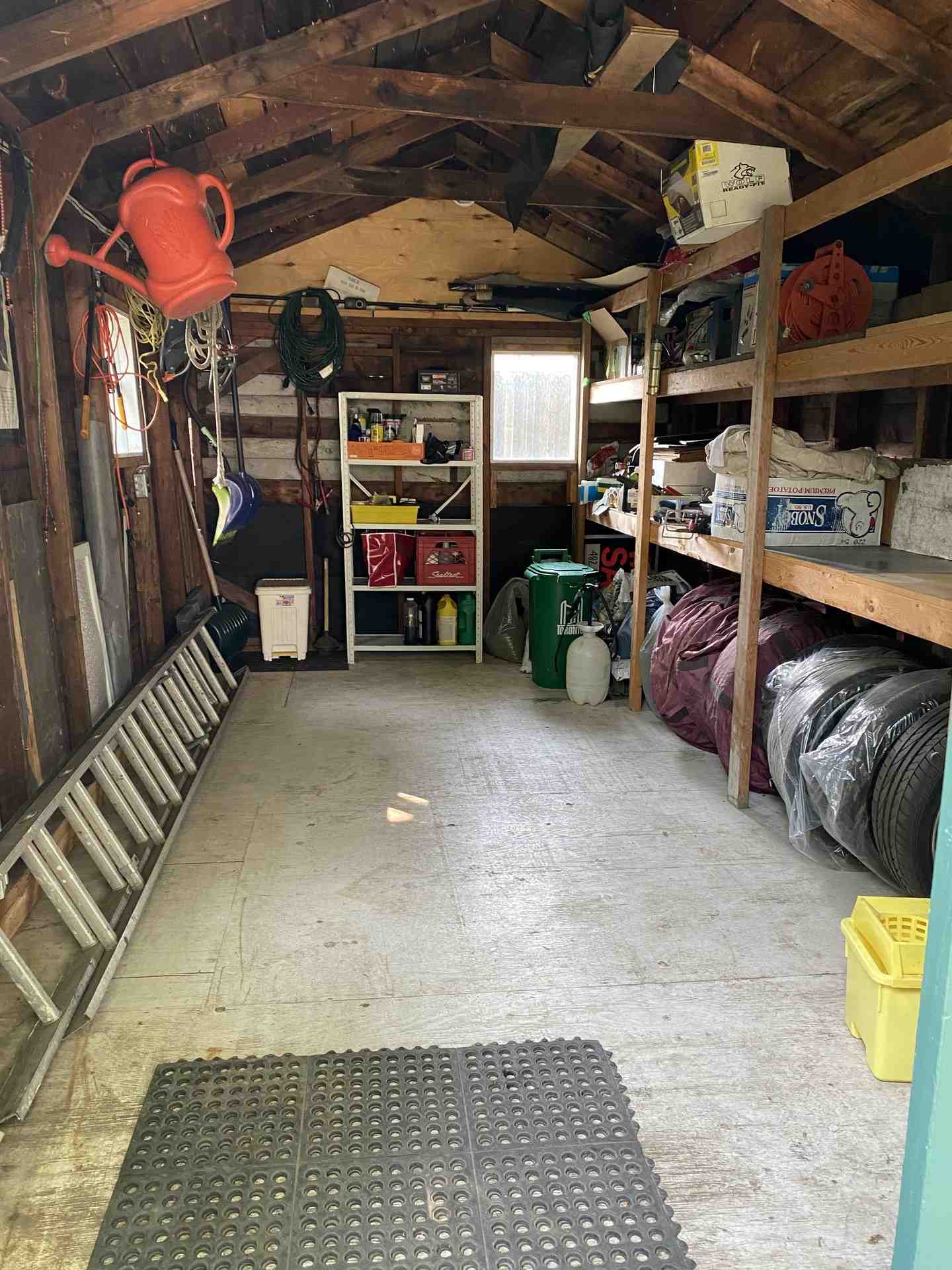 Thumbnail of the image