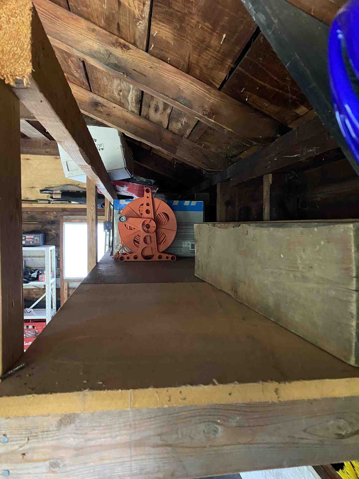 Thumbnail of the image